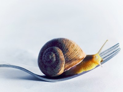 Спринтеры или стайеры: как правильно есть?