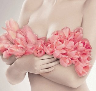 Пристрасті за принадами