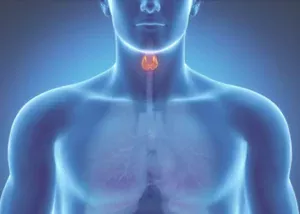 Чек-Ап (Check-Up) “Щитоподібної залози”