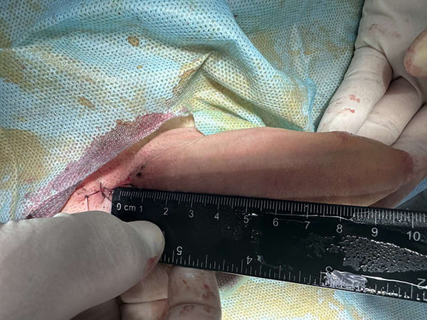 Сертифікат