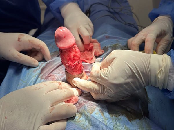 Сертифікат