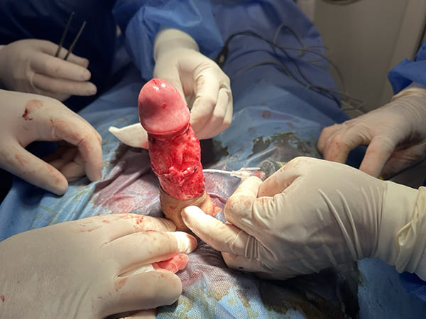 Сертифікат